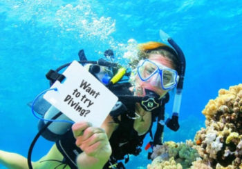 Discover Scuba Diving