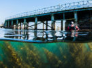 Swanage Pier